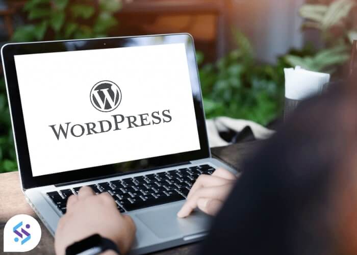 Hire WordPress Developers » DevsRank Hire WordPress Developers